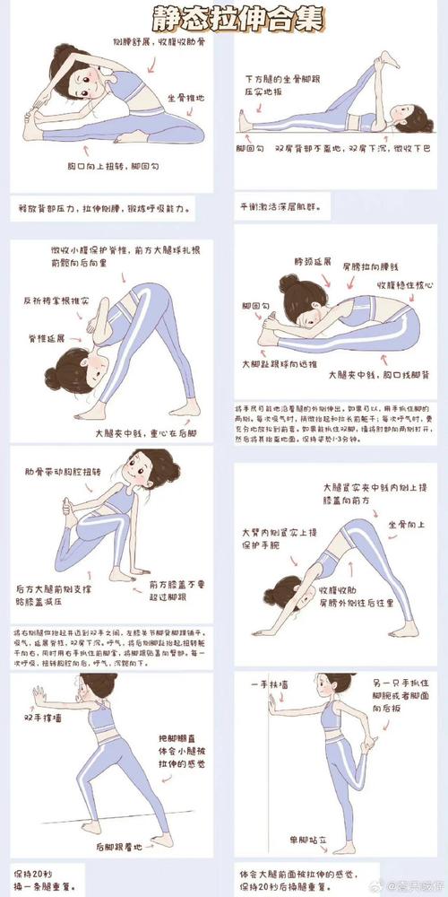 静力性训练是什么？什么是静力性力量训练