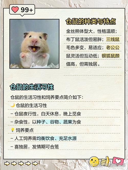 请问仓鼠的胡须有什么用处？仓鼠的胡须有什么作用