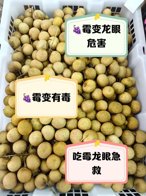 发霉的桂圆吃了会怎么样？发霉桂圆吃了怎么办