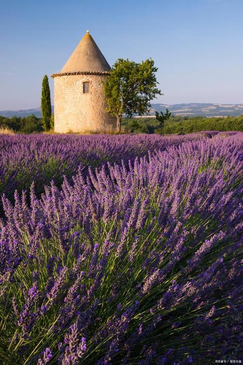 普罗旺斯在哪个国家的?普罗旺斯普罗旺斯