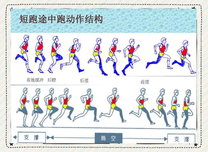 跑的专门性练习有哪些?跑的技术动作有哪些