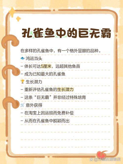 孔雀鱼最大有多大？孔雀鱼最大的是什么样子