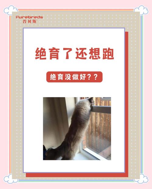 绝育了猫还会跑吗？绝育后的猫会离家出走吗?
