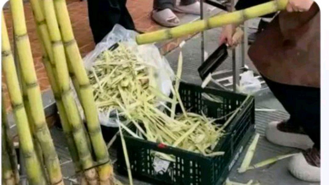 上海一消费者称花91元买一根甘蔗?网友:不知道成本价是否也高