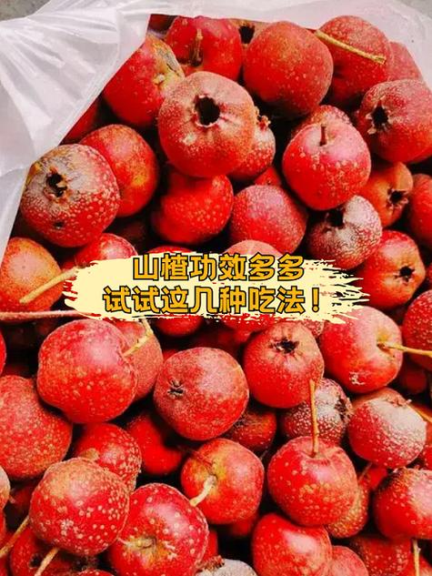 晚上睡觉前吃山楂好吗女生？睡前吃山楂会不会发胖