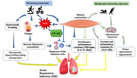 毒株变异来袭！想整个秋冬少生病 这4种方法简单又有效(图4)