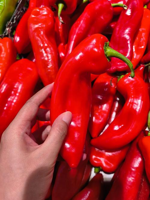 辣椒哪个部位比较辣？辣椒哪个部位最辣