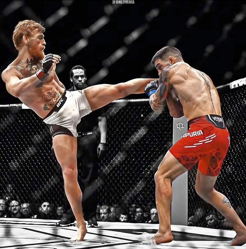 康布罗纳写了什么书？康纳vs布洛克打过比赛吗