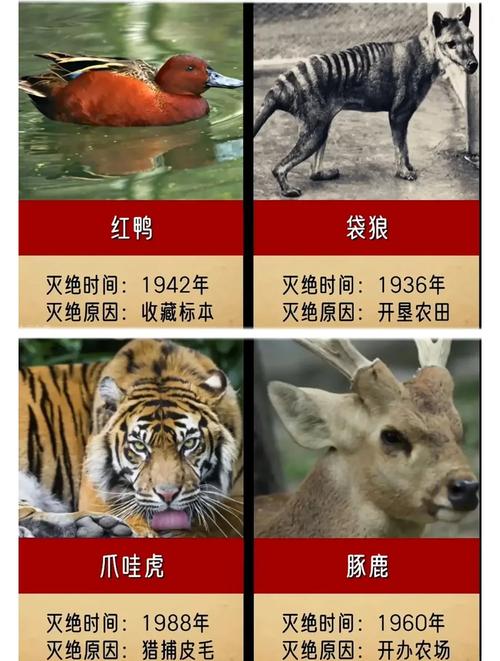 快要灭绝的动物前十名,我们应该怎么做?？快要灭绝的生物有什么