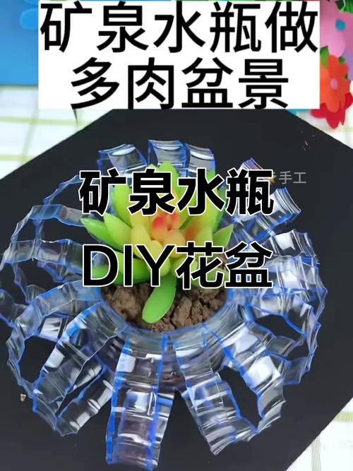 矿泉水瓶怎么做花盆种多肉?怎样用矿泉水瓶子养多肉
