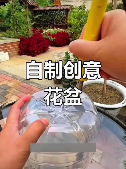 矿泉水瓶怎么做花盆种多肉?怎样用矿泉水瓶子养多肉