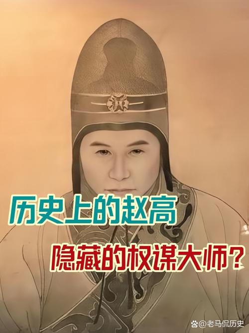 秦朝赵高是哪里人？历史中秦国的赵高是哪里人