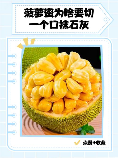 菠萝蜜切口抹石灰干什么?菠萝蜜口子涂石灰还能吃吗