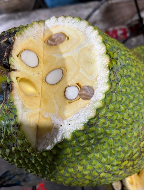 菠萝蜜切口抹石灰干什么?菠萝蜜口子涂石灰还能吃吗