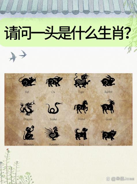四六仔是什么意思？四六指什么生肖