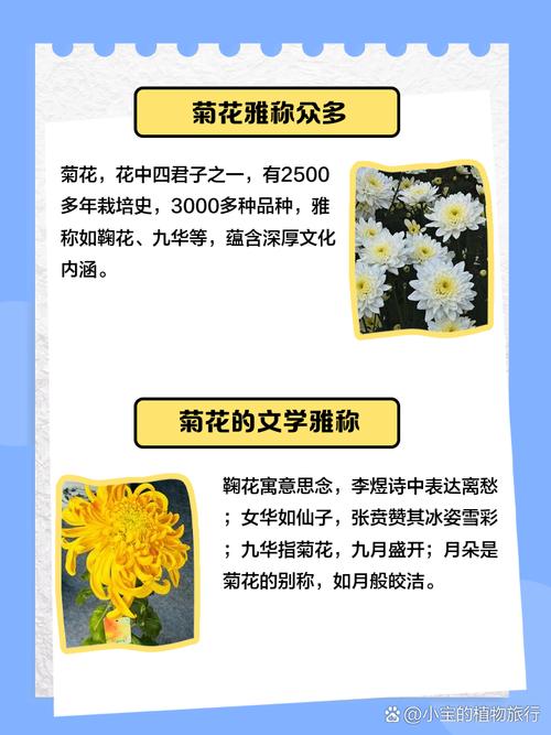 菊花被称为花中四君子的原因？菊花是花中四君子吗