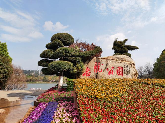 昆明呈贡洛龙湿地公园什么好玩的？昆明呈贡洛龙湖公园