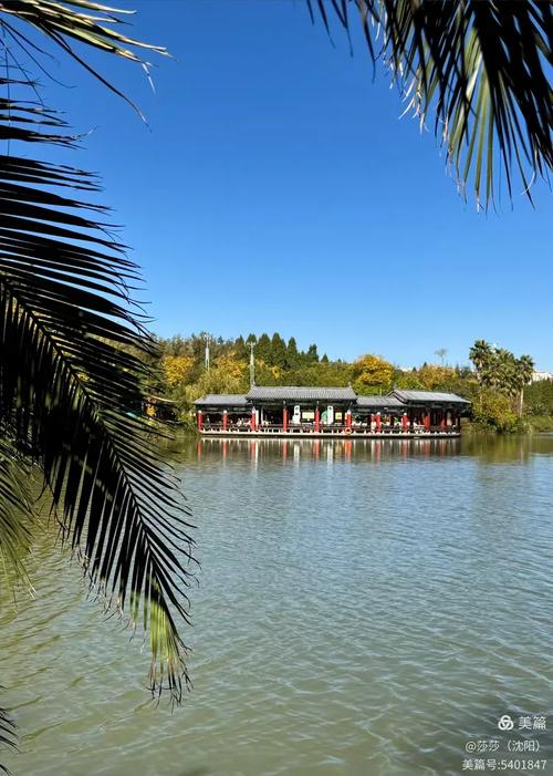 昆明呈贡洛龙湿地公园什么好玩的?昆明呈贡洛龙湖公园