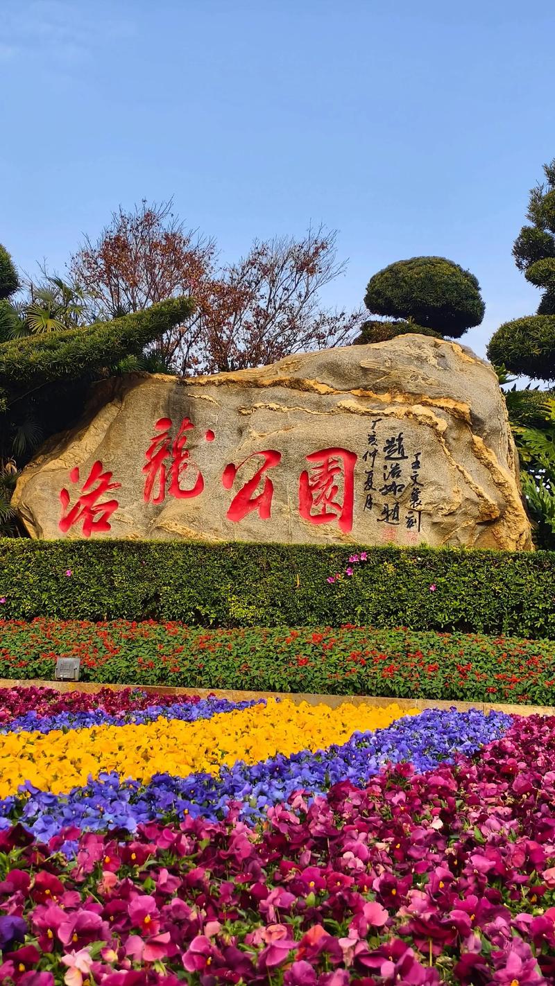 昆明呈贡洛龙湿地公园什么好玩的?昆明呈贡洛龙湖公园