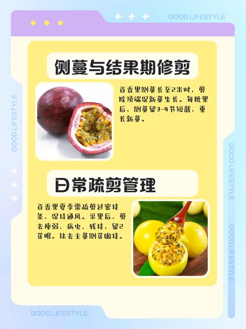 盆栽百香果过冬修剪?百香果树冬天怎么修剪