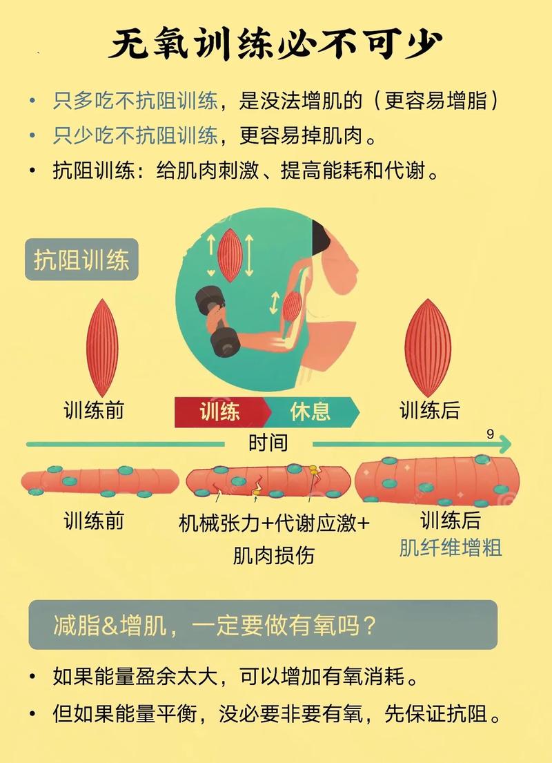 增肌和减脂能一起吗?减脂和增肌可以一起进行吗