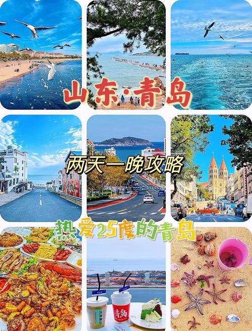 青岛和上海哪个适合旅游?青岛和上海哪个更适合生活