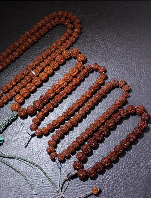 金刚菩提子能种吗?金刚菩提子能发芽吗