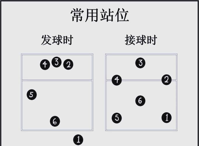 排球比赛换位规则?排球比赛换位规则图片