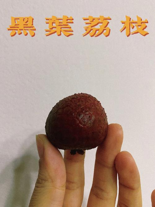 荔枝发黑有味道了还能吃吗？荔枝发黑是怎么回事