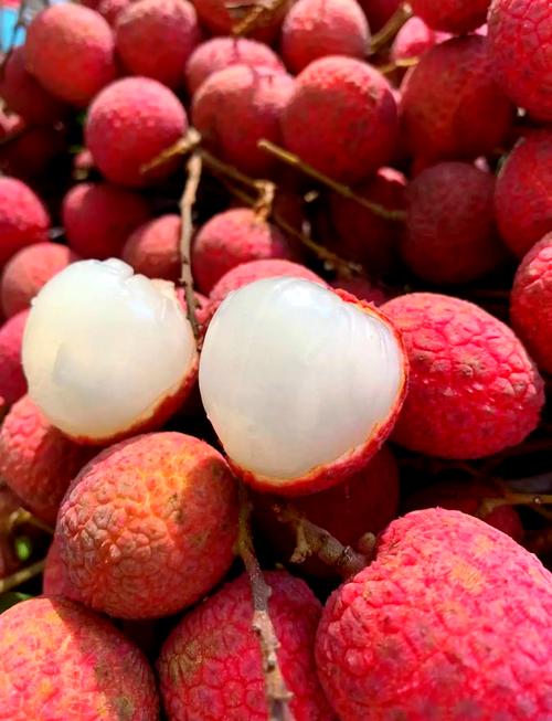 荔枝发黑有味道了还能吃吗?荔枝发黑是怎么回事