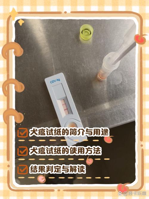 狗狗试纸板怎么用?狗狗试纸检测是怎么检测