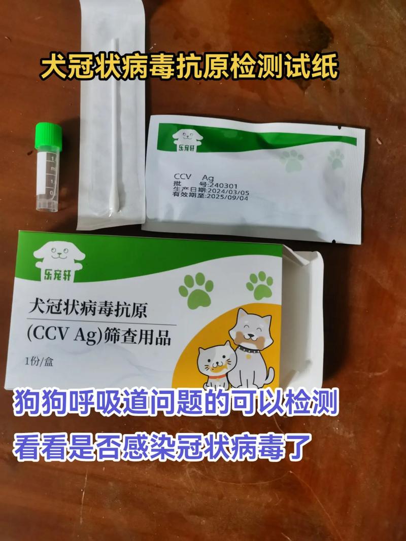 狗狗试纸板怎么用?狗狗试纸检测是怎么检测