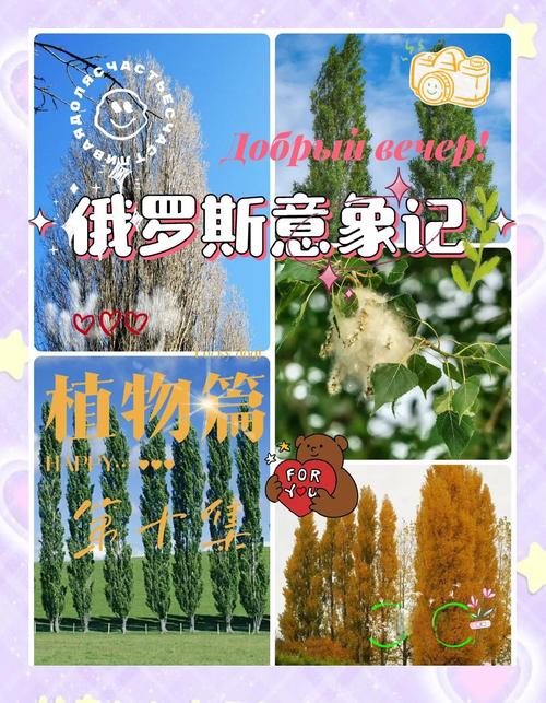 俄罗斯植物象征意义？俄罗斯的植物国宝是什么