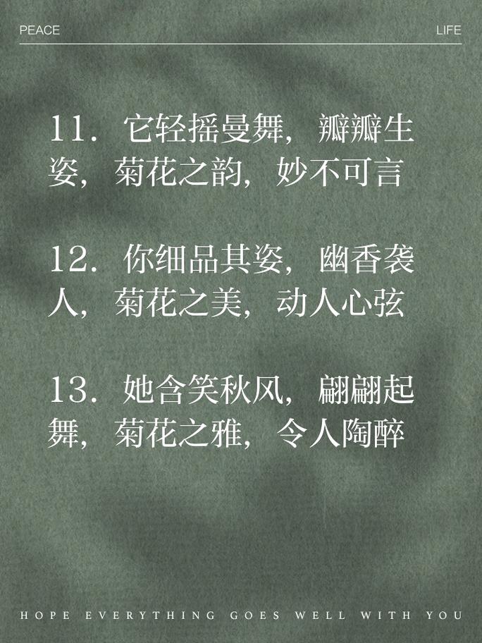 菊花的拟人句三年级?菊花拟人句造句