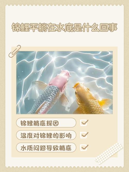 锦鲤为什么会沉在水底不动的原因？锦鲤为什么都沉在缸底