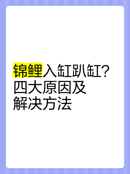 锦鲤为什么会沉在水底不动的原因?锦鲤为什么都沉在缸底