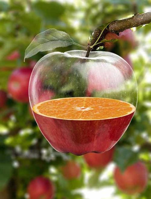 苹果有photoshop吗？苹果手机有photoshop软件吗