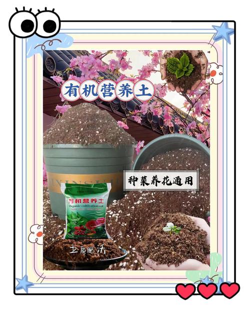 土壤里面含有哪些成分？土壤中都含有什么