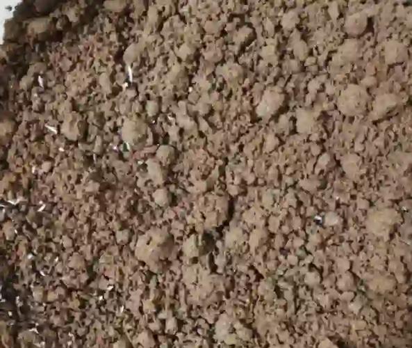 土壤里面含有哪些成分?土壤中都含有什么