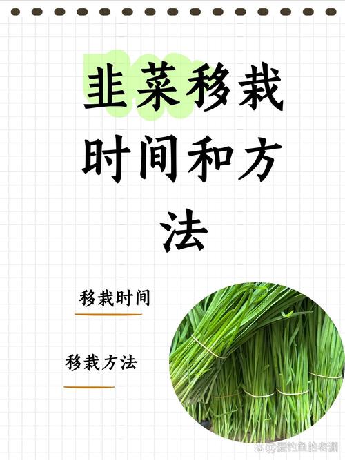 韭菜放多久不能吃了?韭菜放置多长时间不能吃