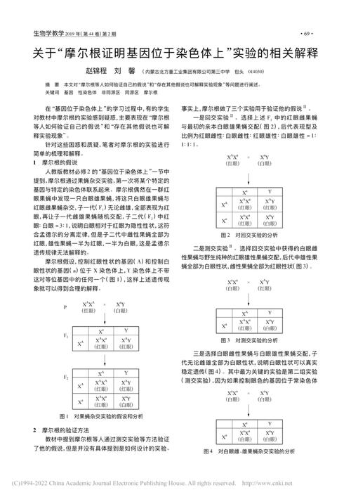 摩尔根的设想是什么?摩尔根提出的假说是什么