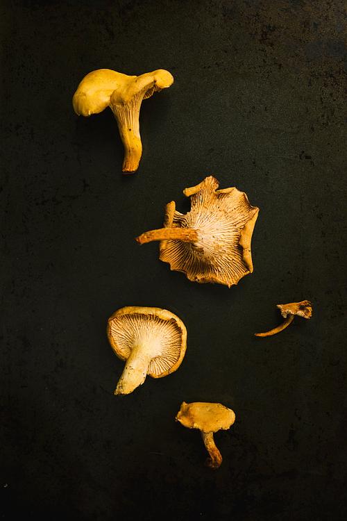 蘑菇里面一圈黑色的能吃吗?蘑菇里面有一圈黑色