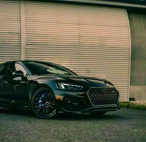 奥迪2026放大招！全系一代Q7、Q9领衔 还要复活A2纯电版！(图2)