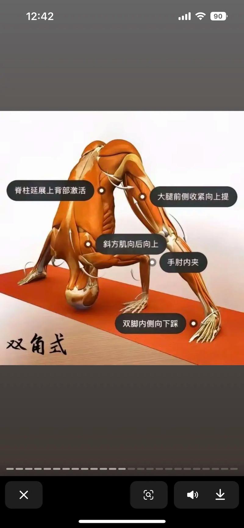 解剖学姿势和立正姿势的区别?解剖学姿势是立正姿势吗