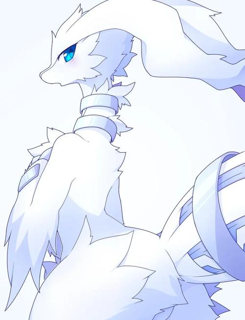 口袋妖怪黑2莱西拉姆?口袋妖怪黑2狃拉