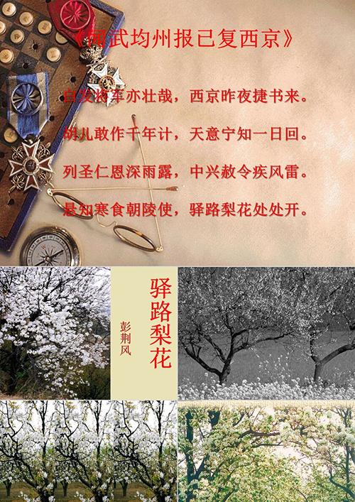 驿路梨花的三处悬念在哪里?驿路梨花3处悬念