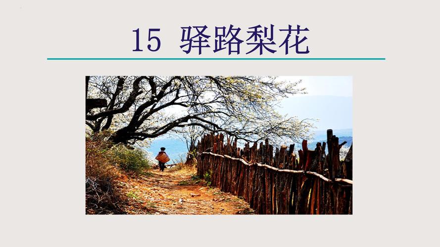 驿路梨花的三处悬念在哪里?驿路梨花3处悬念