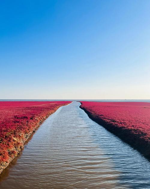 盘锦好玩的旅游景点？盘锦好玩的旅游景点排名