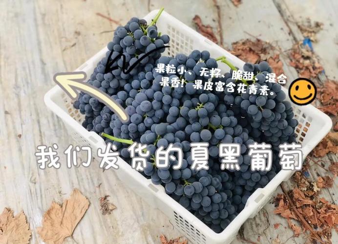 葡萄膨大剂是什么成分?葡萄膨大剂是什么成分的