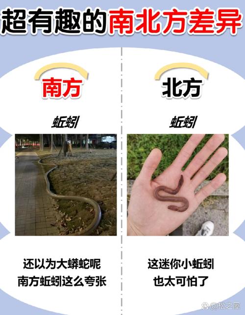 想一想应该怎样测量蚯蚓的身长？怎样估计蚯蚓的体节数